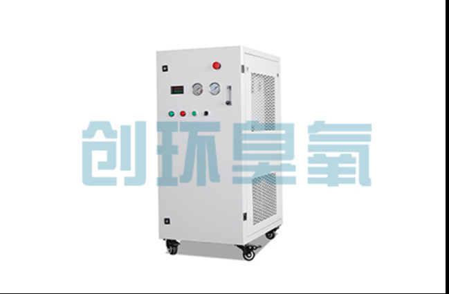 潮州工厂化养鲈必看:2026年臭氧发生器替代传统消毒的最新方案
