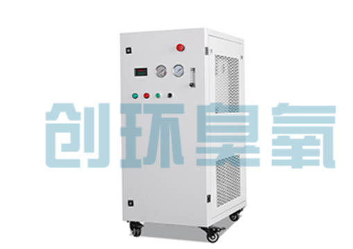 潮州石斑鱼养殖水质调控完整指南：臭氧发生器配置与操作步骤