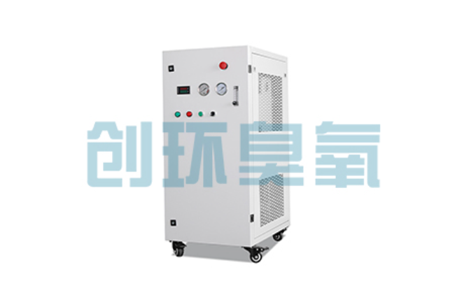潮州比传统换水更高效？臭氧发生器在石斑鱼养殖中的水质净化原理解析